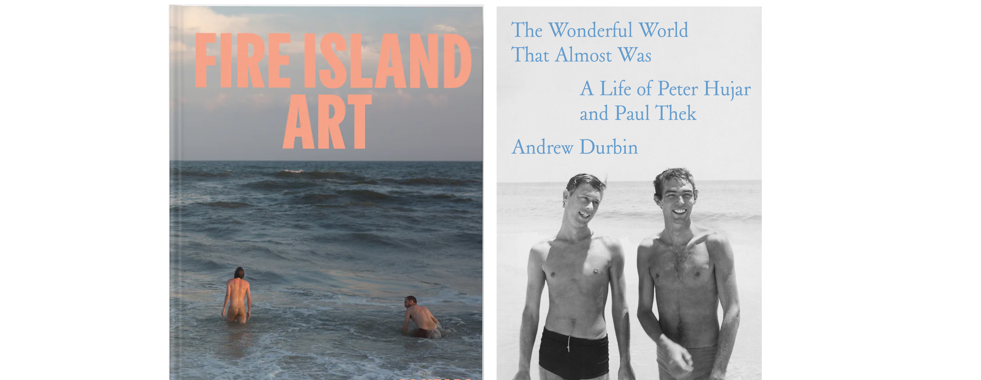 Author Talk: Fire Island Art and The Wonderful World That Almost Was